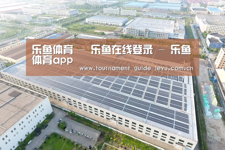 案例展示一