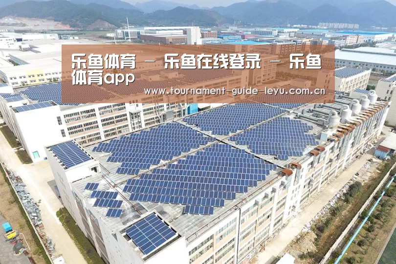案例展示四