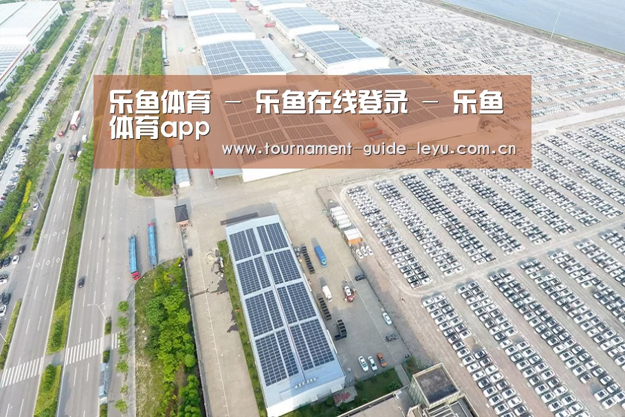 案例展示四