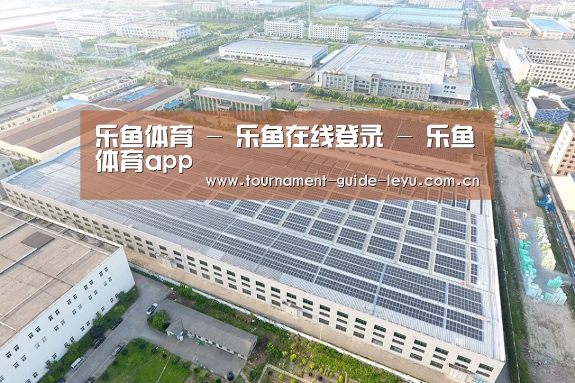 案例展示四