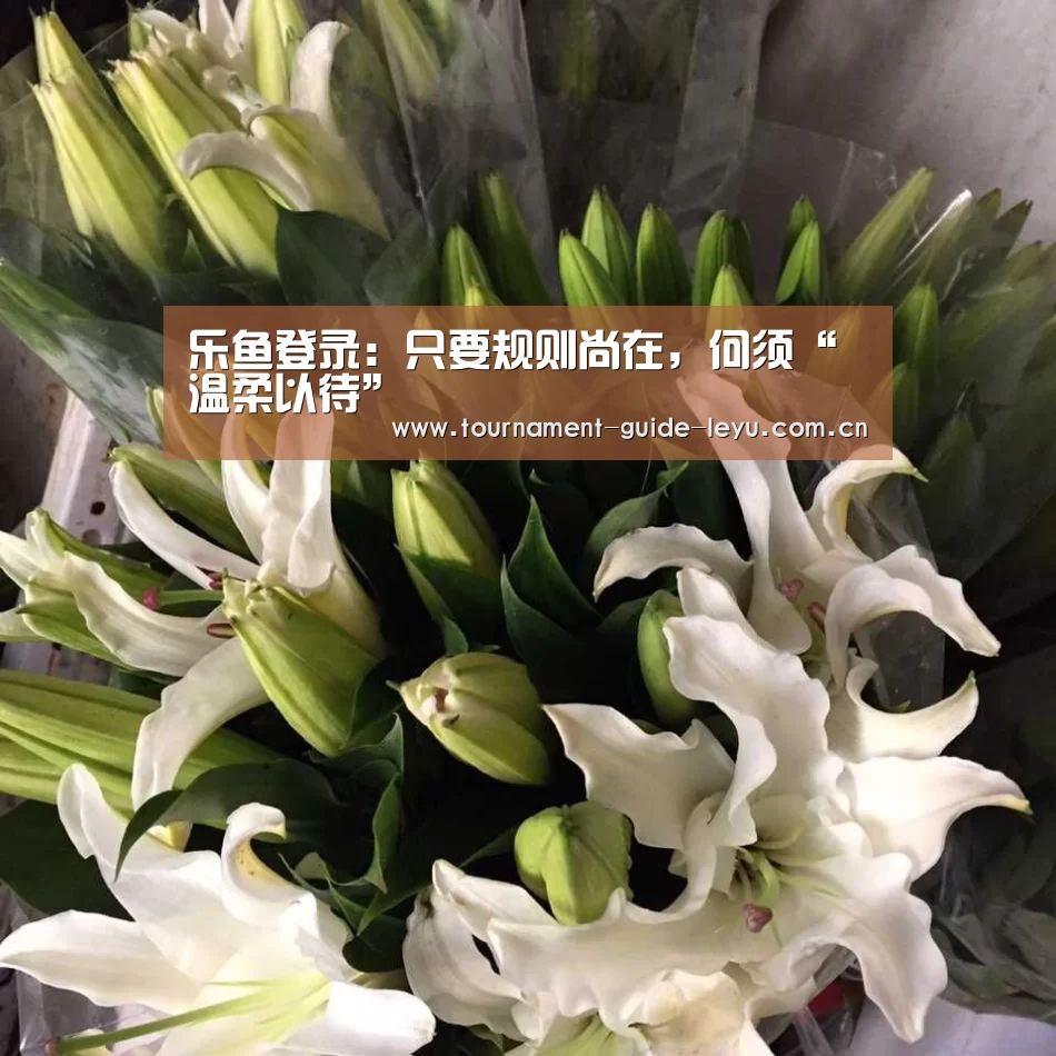 乐鱼登录:只要规则尚在,何须“温柔以待”(图4) 乐鱼体育